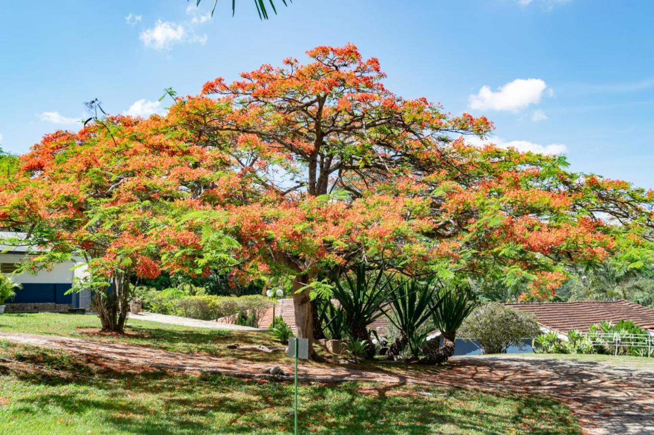 Villa Do Sossego Pousada Lindoia Bagian luar foto